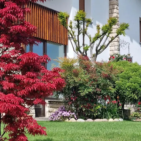 Alojamento de Acomodação e Pequeno-almoço Fontanella