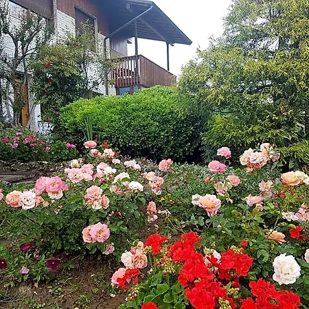 Fontanella Bed and Breakfast