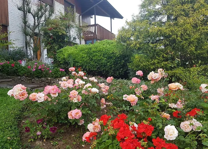 B&B Fontanella Curno